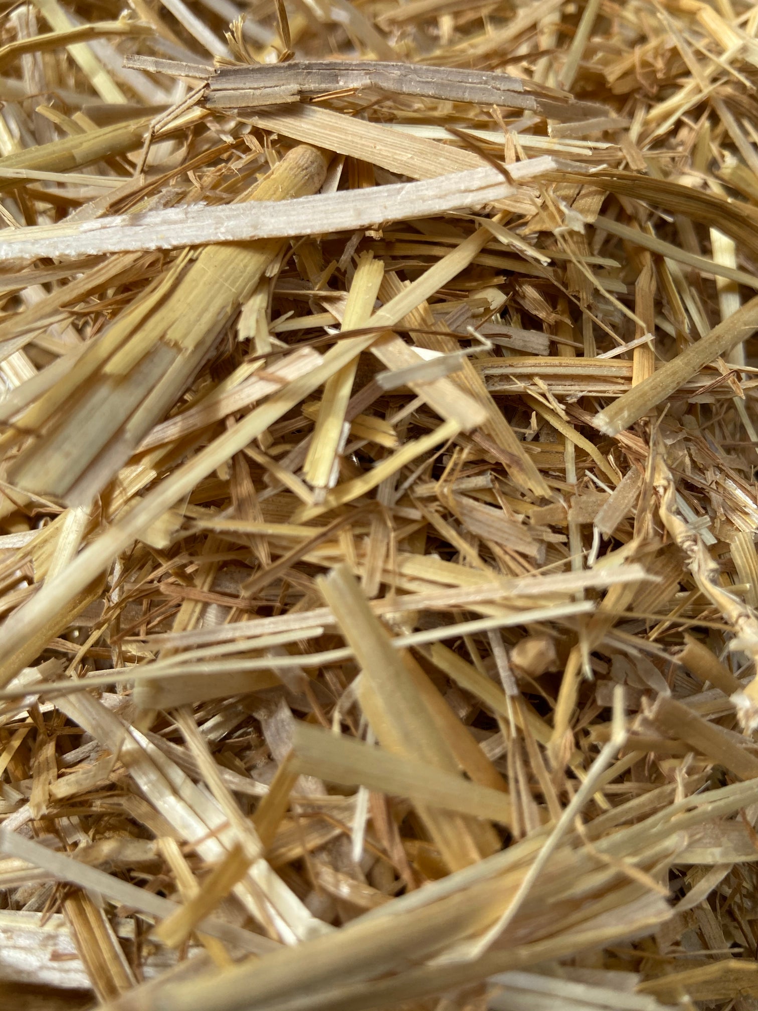 5 Gallons of Shredded Straw Poo God